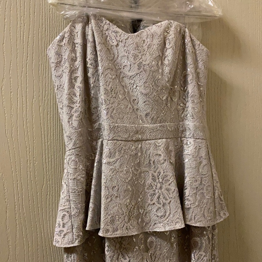 Elegant Strapless BAdgley Mischka dress